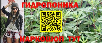 мдпв Абакан