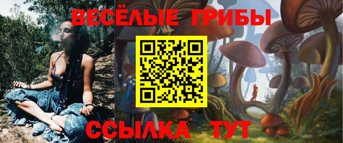 Галлюциногенные грибы мицелий Александров